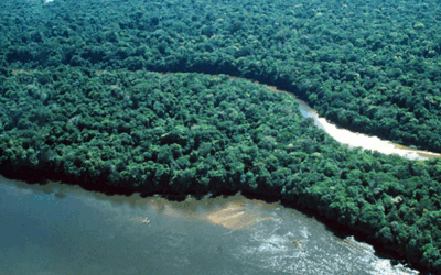 RÉPUBLIQUE DÉMOCRATIQUE DU CONGO